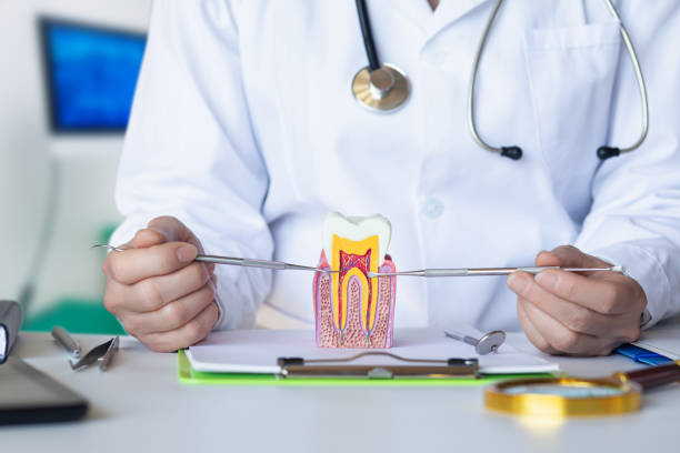 Best Chipped Tooth Repair Near Me  in East Rockingham, NC